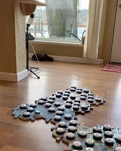 380K views · 5.2K reactions | I learned pretty early on that Bunny is happiest learning when it happens organically. When I work learning moments into everyday dialogue she stays engaged. This was an example of me NOT doing that, lol, and she told me NO. The agency though! I love her so much. | Whataboutbunny | Facebook