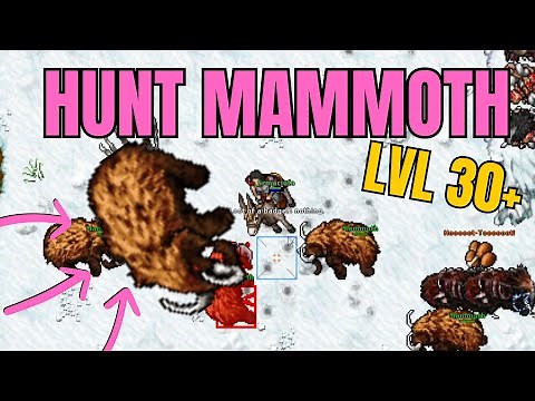 TIBIA - HUNT E TASK MAMMOTH E BADGER 30K PROOFIT - TIBIA