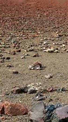The Incredible Journey: Origins of Life on Earth #Shorts
