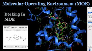 [搬运/生肉]How To Dock Ligands In MOE ｜ MOE使用教程-生物信息学
