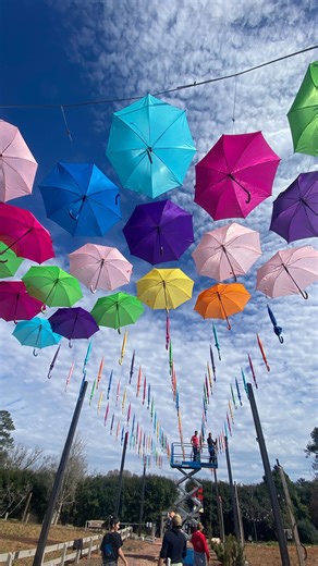 4.1K views · 219 reactions | ✨ Take a sneak peek into the enchanting...