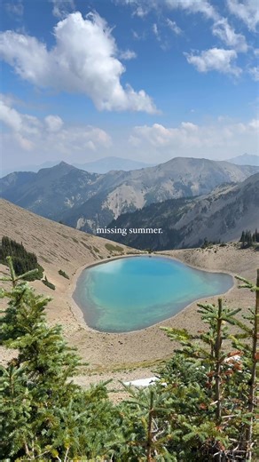 9.8K views · 72 reactions | Summer in the Olympic mountains in Washington is pure magic! Olympic National Park | Sky Frost | Facebook