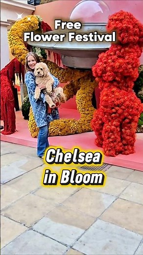 🌸 Stunning Floral Installations at Duke of York Square | Chelsea in Bloom 2026 ✨🌍