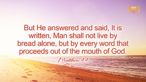 Reflection on Matthew 4:4 – Man Shall Not Live By Bread Alone