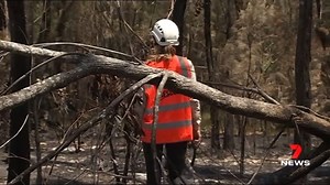 9.7K views · 14 reactions | A team of 'emergency leaders' says the fossil fuel industry should foot the bill, to reduce the impact of future natural disasters. It's on a list of 165 recommendations, created after the last horror fire season. www.7NEWS.com.au #7NEWS | 7NEWS Toowoomba | Facebook