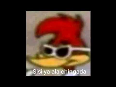 SISI YA A LA CHINGADA /MEME/ (Con velocidades)