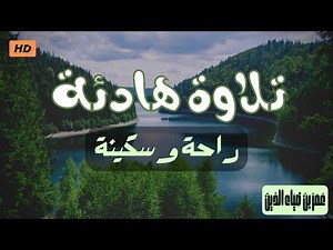 تلاوة هادئة❤️ تساعدك على راحة البال💞 بصوت القارئ عمر ضياء الدين Quiet Recitation