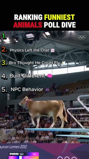 RANKING FUNNIEST ANIMAL POOL DIVES #shorts