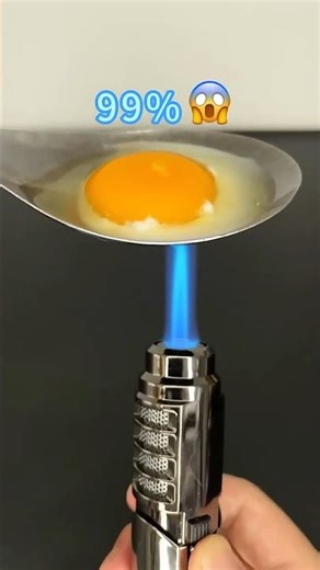 What Happens When a Lighter Meets an Egg? 🔥🥚 | Crazy Science Experiment