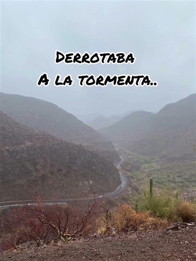 Corridos Personalizados!!✍🏼🎶🎺🐎🫵#mexico #laberinto #corridos #caballos #carrerasdecaballos #todo