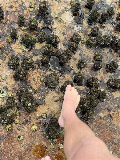 ATOM - atasteofmatt on Reels