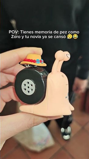 My boyfriend has a memory like a goldfish, just like Zoro... and I'm fed up! So I gave him this a...