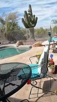 Two Rattlesnakes Mating By The Pool