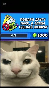friend and Pass |song's name MIAO MIAO #brawlstars #cat #pass #meme