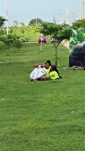 Exploring the Magic of Balli Bot Mogis: The Smart AI Evolution