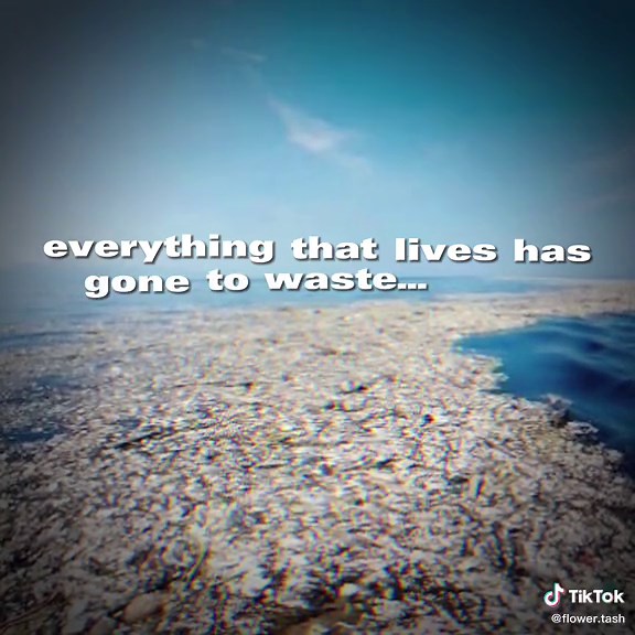 the great pacific garbage patch is around twice the size of nsw. #save#the#earth#flowertash #fyp #foryou #edit #savetheearth#rubbish#trash#foryoupage#spreadawareness