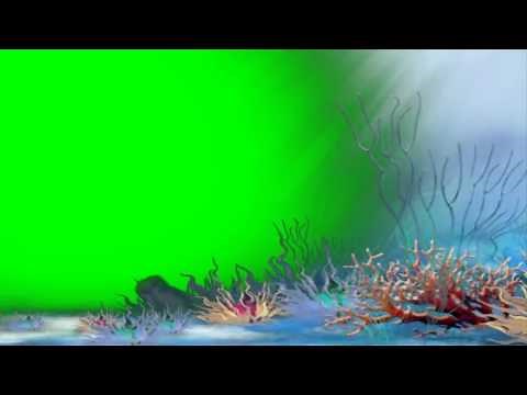 under water world - green screen effect