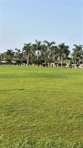 Day 3 of Winter Arc ❄️ — Master the Front Handspring! 👉 Save this tutorial for your winter training 👉 Tag me @flipwithjin when you land your clean Front Handspring 🚀 front handspring tutorial, front handspring for beginners, how to do a front handspring, learn gymnastics india, winter arc skills, flip tutorial kya apne iska phla part dekha❤️?? | Amit Adhikari Dancer Pakour
