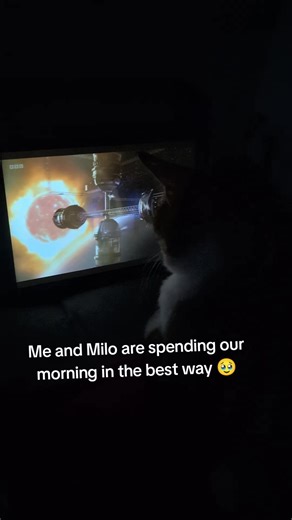 Milo wanted to watch doctor who this morning! so end of the world it is 😍 . . #doctorwho #whovian #tardis #dalek #cat