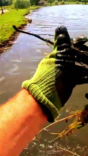 WAIT… I Pulled WHAT from Eldridge Park?! 🎠🧲 Rings and Lures and more. Elmira Express. Carousel #fyp