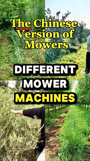 1.4K views · 16 reactions | A quick look at the Chinese version of mowers  Six different mower styles from China — which one would you pick? ⚙️ #ChinaMachines #EngineeringLife #InnovationDaily #FutureTechFinds | Future Tech Finds | Facebook