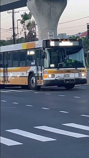 TheBus Honolulu Bus 234 Route 81 Express Downtown