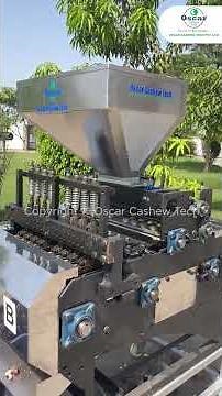 Cashew Nut Cutting Machine & Shelling Machine Working Video | Oscar Cashew Tech