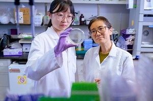 The Marie-Josée and Henry R. Kravis Cancer Ecosystems Project