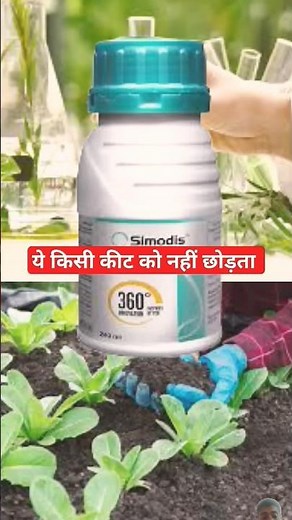 सब कीटो का नाश करने वाला कीटनाशक! simodis🤔! #shorts #plants #farming