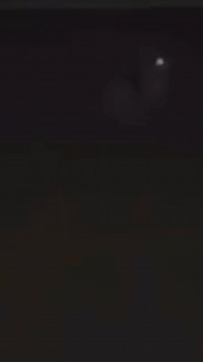 SCP 2430: El Clon Inmortal Revelado