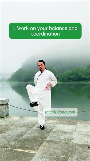 251060 Tai Chi Basic Kick leg and Push palm