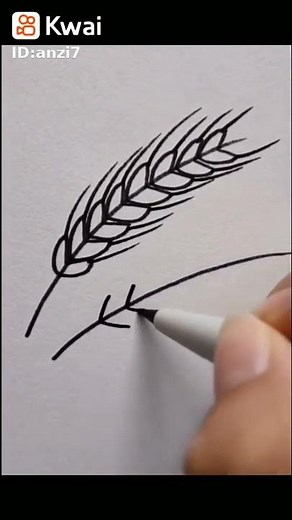 رسم سنابل القمح باسهل طريقة / رسم سهل للمبتدئين / رسم بالرصاص