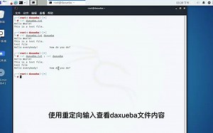【查看文件内容技巧】使用cat命令查看文件内容