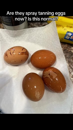 Are Spray Tanning Eggs Normal? Discover the Truth