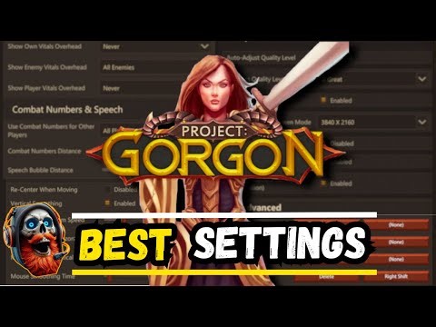 ⚙️ BEST SETTINGS ⚙️ Project Gorgon 2026 | Performance, UI, Keybinds & More!