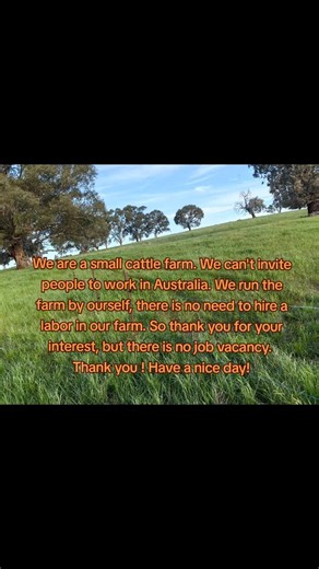 Here are the cattle you guys want to see. #farmlife #australia #melbourne #cattle #cow