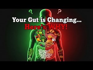 Why your digestion Changes After 50 And What you can do