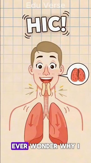 Why Do We Get Hiccups