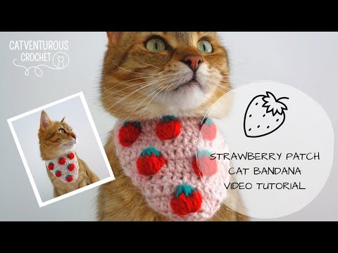 Strawberry Patch Cat Bandana - Catventurous Crochet
