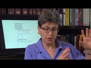 14.8 Optokinetic Nystagmus