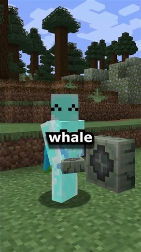 What If Minecraft Had Whales | Whaleborne Mod