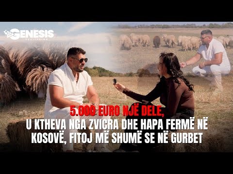 5.000 euro një dele, u ktheva nga Zvicra dhe hapa fermë në Kosovë, fitoj më shumë se në Gurbet