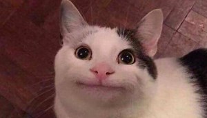 Who Is Polite Cat, And Why Is Bruce Making An Exception For Him?