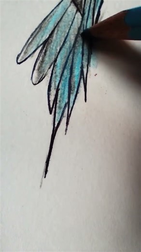 Drawing of Humming bird #drawing #art #sketch #sketching #nature #birds #artist #draw