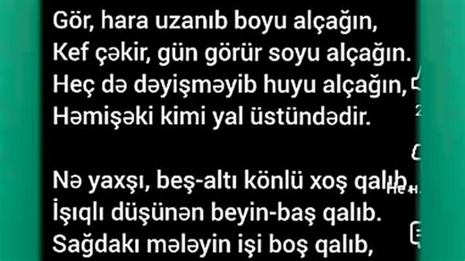 VID-20260213-WA0000.mp4