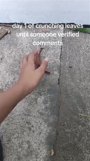 Roman fun-pire (@roman.funpire)’s videos with original sound - Roman fun-pire