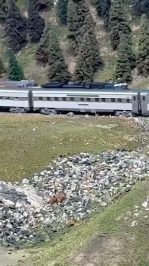 A Santa Fe passenger train meets a UP and NS freight train