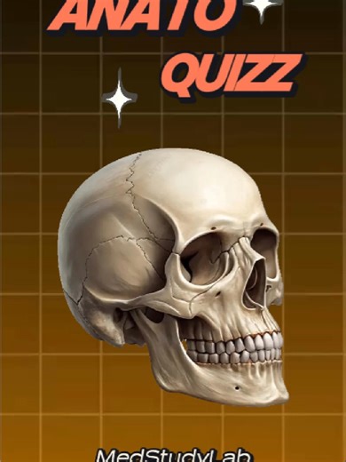 Anato Quizz: Demuestra tus Conocimientos en Anatomía