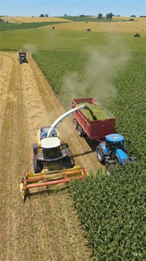 Powerful Machines Harvesting WheatThe Art of Wheat Harvesting#farming #harvesting #tractor