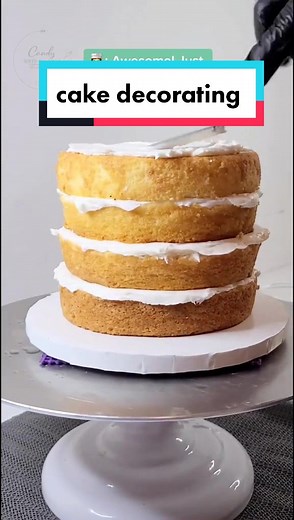 Custom 12 Inch Birthday Cake with Blush Pink Buttercream | Cake Decorating